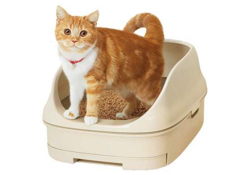  KAO Туалет для кошек системный открытый цвет светлый 359803, фото 1 