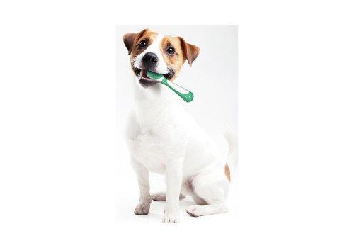  DoggyMan Игрушка для собак для чистки зубов с Яблоком, фото 3 