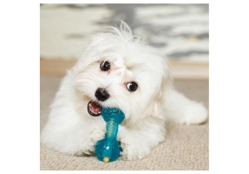  Tarky Игрушка для собак для формирования прикуса и усиления зубов в форме гантели для мелких пород 3S, фото 2 